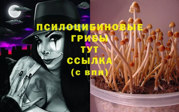 молекула духа Балабаново